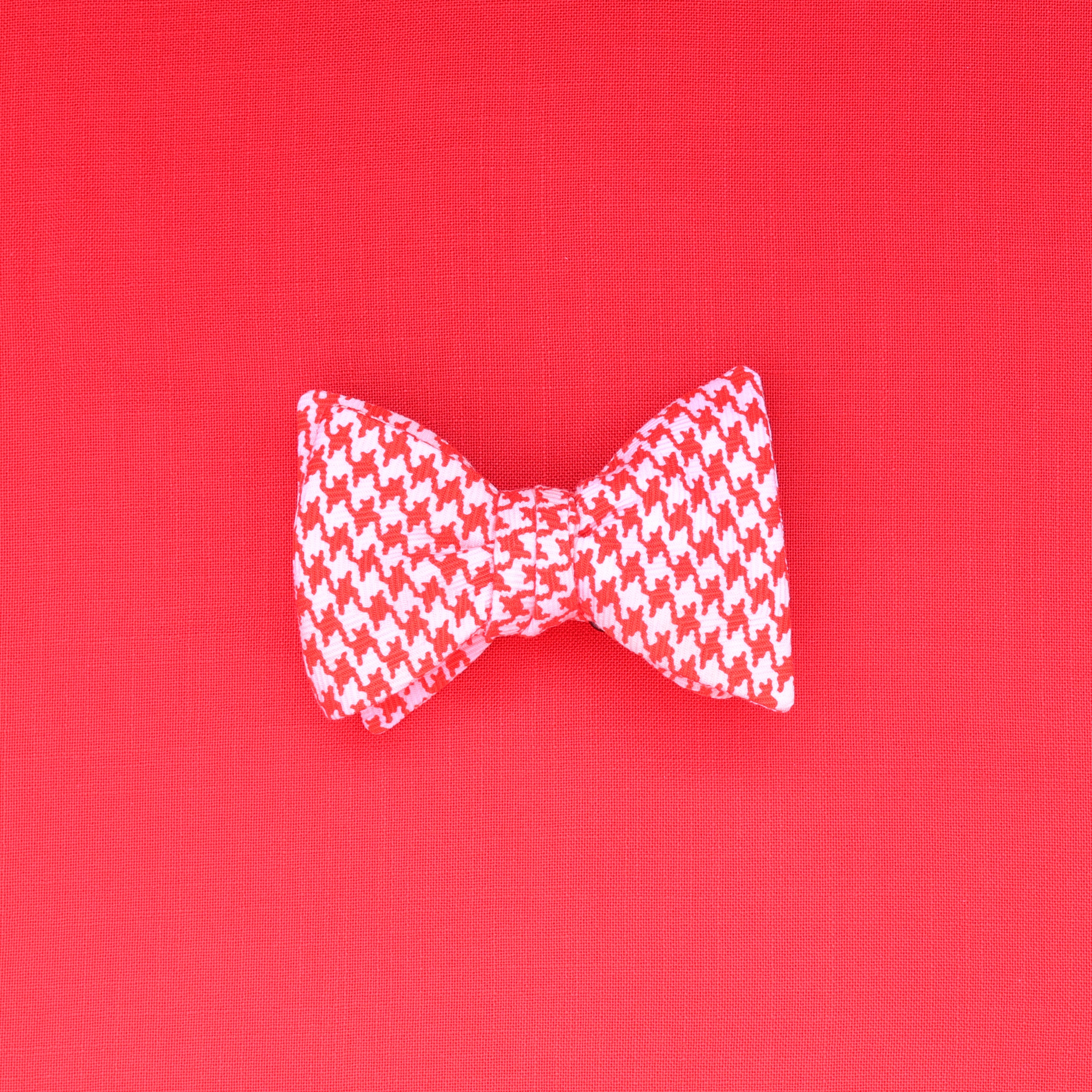 JUMBO bow tie!