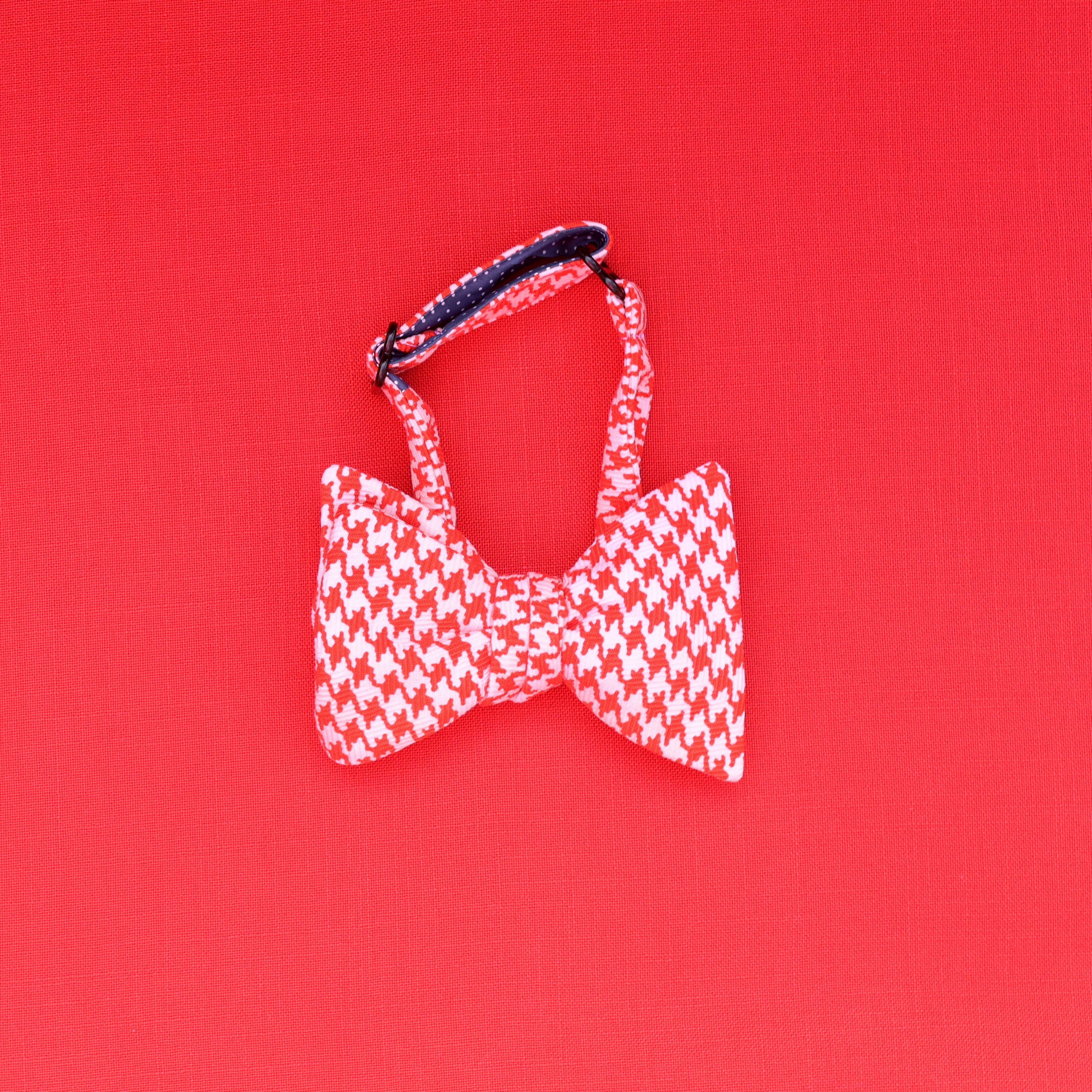 JUMBO bow tie!